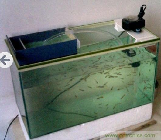 DIY初學者福音:魚缸無刷水泵DIY(高清)