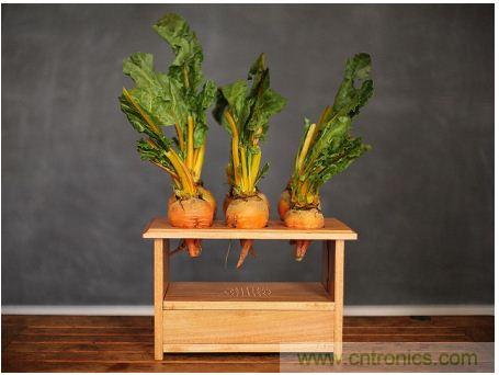 害怕圣誕節沒創意？看看發燒友們怎么過圣誕