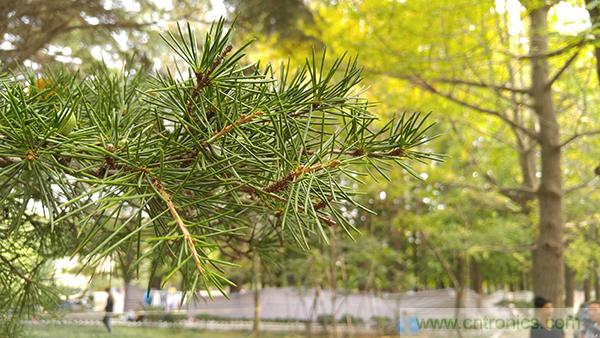 業界良心 LG V10 評測:剛毅、冷峻,不失人性化