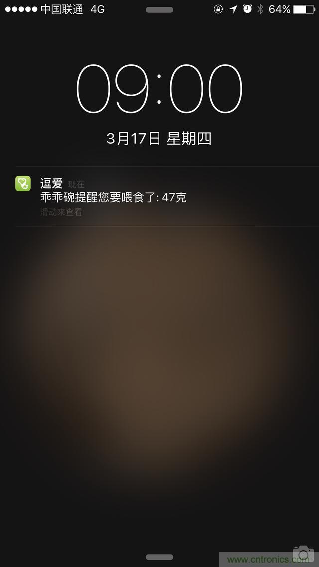 科學喂養從狗娃做起&mdash;&mdash;逗愛乖乖碗測試