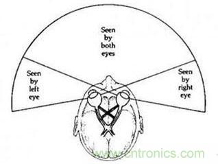 雙目重疊技術在VR中有什么作用?