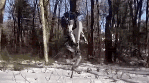 走直線很難嗎？陀螺儀表示，少了它機器人連直線都走不了