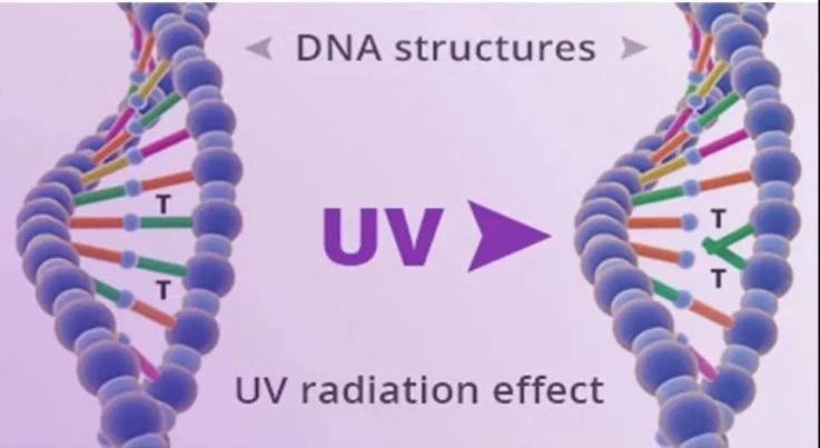 一文掌握UV LED在空凈消殺領域的主要應用 一文掌握UV LED在空凈消殺領域的主要應用